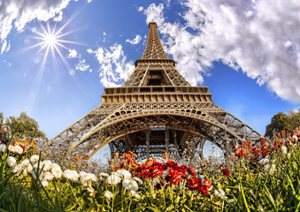 Wieża Eifla z kwiatami w Paryżu, Francja - obrazy, fototapety, plakaty