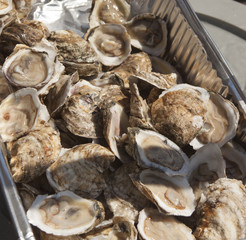 Raw Oysters © jimbowie