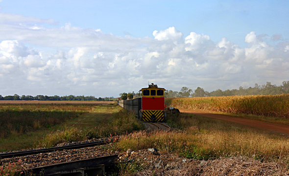 Sugarcane Train