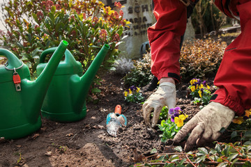 Planting flowers on a grave in spring