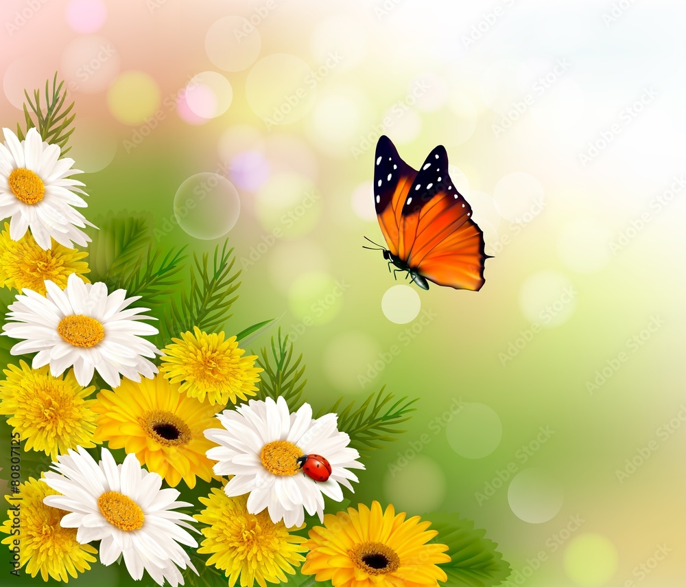 Poster spring background. flowers and a butterfly. vector.