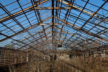 abandoned greenhouse
