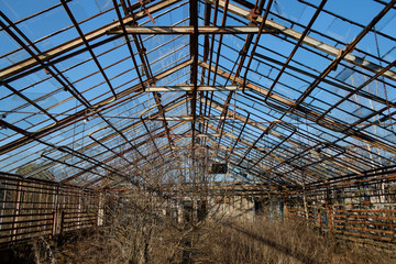 Obraz premium abandoned greenhouse