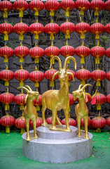 Golden goats in public chinese temple