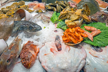 Variety of fish and seafood