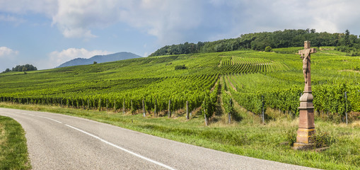 Panoramic Vineyard Landscape with Old Cross, France