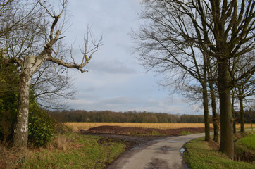 Obraz premium path in countryside in rainy weather