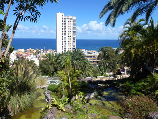 Fototapeta na wymiar Park in Puerto de la cruz