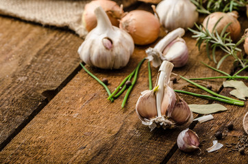 Onions, garlic and herbs bio from the garden