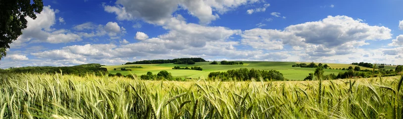 Foto auf Acrylglas Sommer Saarland Panorama Natur – Landschaft bei Eiweiler