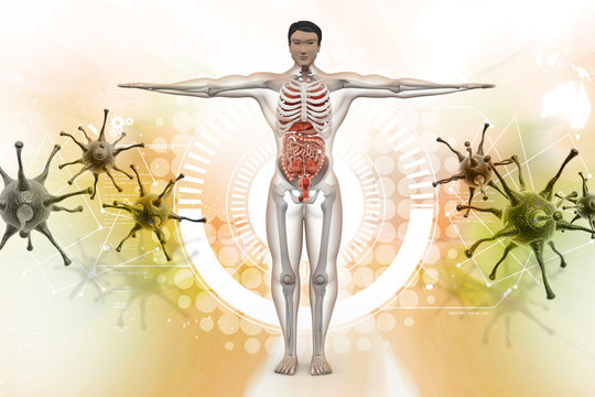 human anatomy with virus