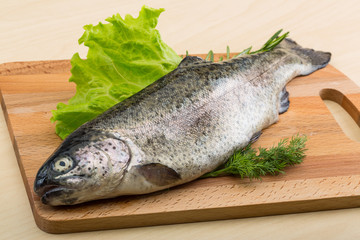 Raw fresh trout