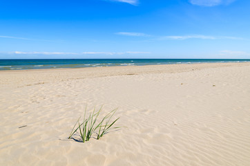 Beautiful sandy beach near Leba, Baltic Sea, Poland