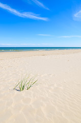 Beautiful sandy beach near Leba, Baltic Sea, Poland