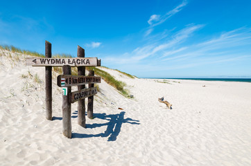 Wooden trail sign on beach in Slowinski National Park, Poland