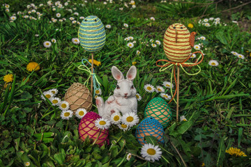 Easter eggs with bunny in grass