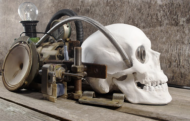 Mechanical skull.