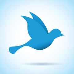 blue bird in flight