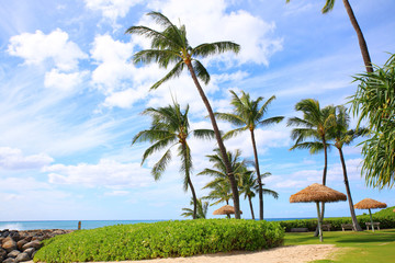 南国のリゾート