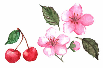 Cherry berry flower set