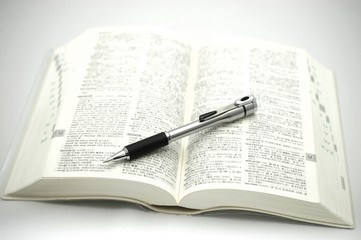 An English-Japanese dictionary and ball-point pen.