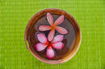 Two Pink frangipani flower in wooden bowl on mat