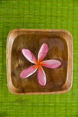 frangipani flower in water wooden bowl on gren straw mat