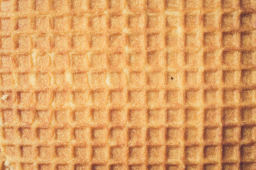 Convex wafers background