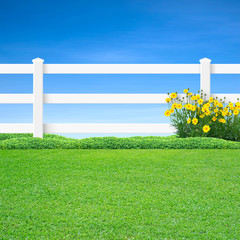 Fototapeta premium Long white fence and yellow flowers