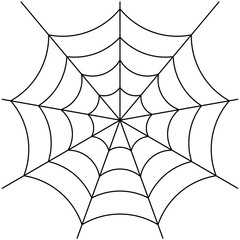 spider web isolated on white vector