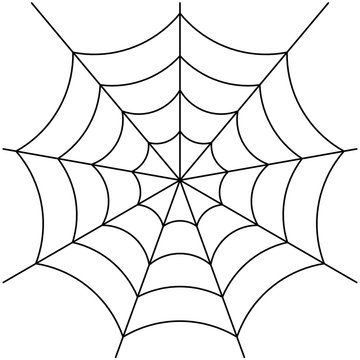 spider web isolated on white vector