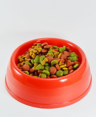 dog food in red bowl