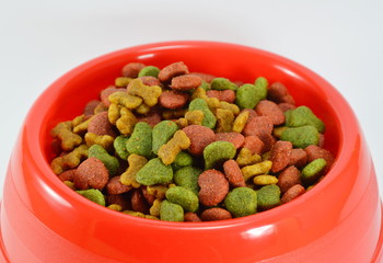 dog food in red bowl