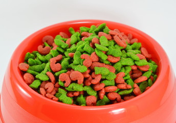 cat food in red bowl