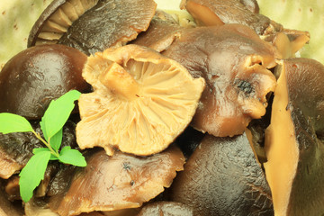 food boiled and seasoned of the shiitake