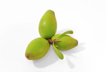 trois noix d'argan