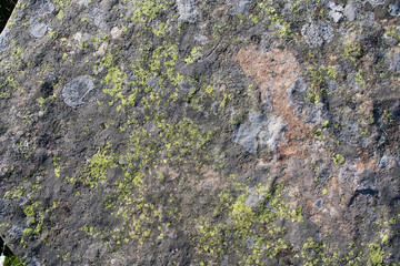 The surface of the granite monolith