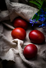 Easter colored eggs