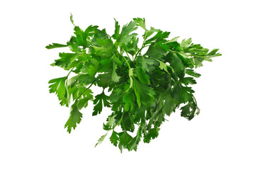 Bunch of parsley