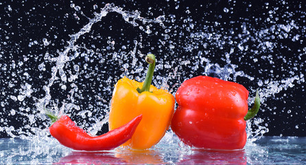 Wet red and yellow pepper closeup. Macro water drops