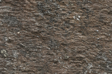 The dome of the Basilica of Notre Dame