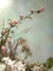 Easter flowers