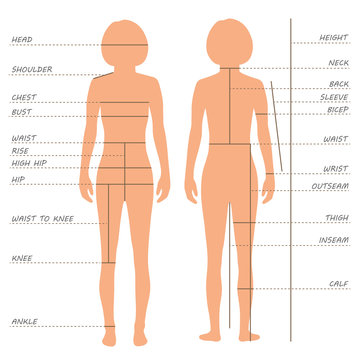 vector body measurements size chart,  sewing