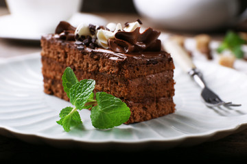 Tasty piece of chocolate cake with mint