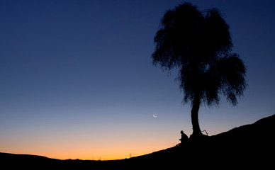 Silhouette of a man sitting alone under a tree