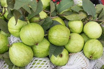 Guava