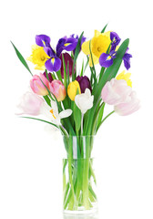 Beautiful spring flowers isolated on white