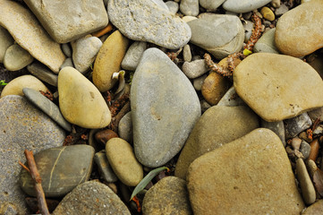 Colorful beach stones.