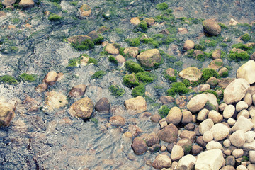 Rocks in the middle of a small river in Ireland