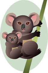 Mother and baby koala
